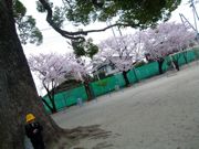 ファイル 1050-3.jpg