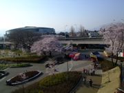 ファイル 1052-1.jpg