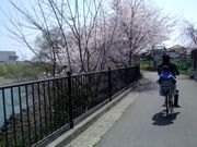 ファイル 1053-1.jpg