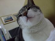 ファイル 1057-1.jpg