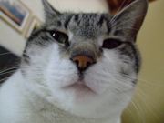 ファイル 1057-2.jpg