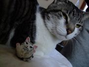 ファイル 1057-3.jpg