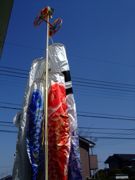 ファイル 1068-1.jpg