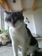 ファイル 1077-1.jpg