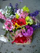 ファイル 1082-1.jpg