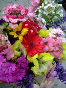 ファイル 1082-2.jpg