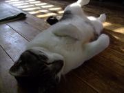 ファイル 1083-2.jpg