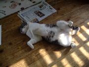 ファイル 1083-4.jpg