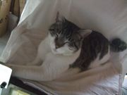 ファイル 1097-1.jpg