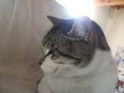 ファイル 1097-2.jpg