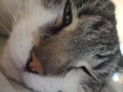 ファイル 1097-3.jpg