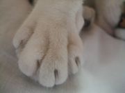 ファイル 1100-2.jpg