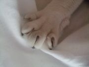 ファイル 1100-3.jpg