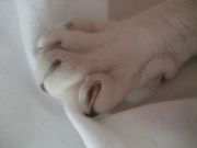 ファイル 1100-4.jpg