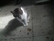 ファイル 1101-1.jpg