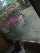 ファイル 1101-2.jpg