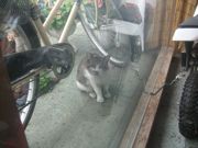 ファイル 1101-3.jpg