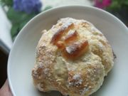 ファイル 1105-1.jpg