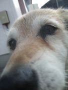 ファイル 1115-2.jpg