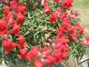 ファイル 1117-2.jpg