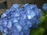 ファイル 1120-3.jpg