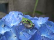 ファイル 1120-4.jpg