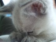 ファイル 1125-1.jpg