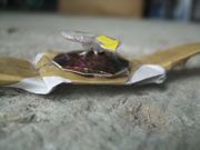 ファイル 1127-3.jpg