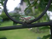 ファイル 1130-1.jpg