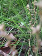 ファイル 1130-3.jpg