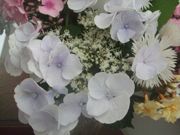 ファイル 1134-2.jpg