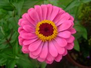 ファイル 1144-1.jpg