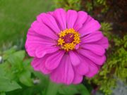 ファイル 1144-2.jpg