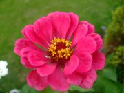 ファイル 1144-3.jpg