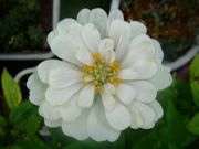 ファイル 1144-4.jpg