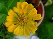 ファイル 1144-5.jpg