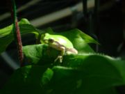 ファイル 1148-2.jpg