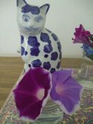 ファイル 1154-1.jpg