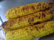 ファイル 1163-1.jpg