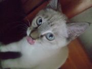 ファイル 1169-1.jpg