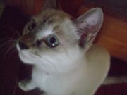 ファイル 1169-2.jpg