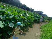 ファイル 1171-1.jpg