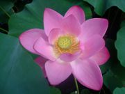 ファイル 1171-3.jpg