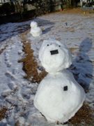 ファイル 1177-2.jpg