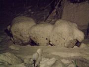 ファイル 1177-3.jpg