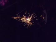 ファイル 1181-4.jpg