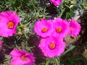 ファイル 1192-2.jpg