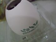 ファイル 1194-1.jpg