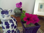 ファイル 1195-1.jpg