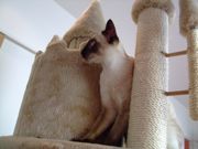 ファイル 1201-3.jpg